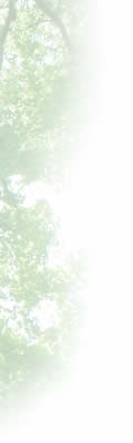 C[W